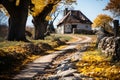 Autumn forest landscape, orange golden foliage in park, fall wallpaper, AI Generated Royalty Free Stock Photo