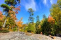 Autumn Upper Peninsula Forest Landscape Royalty Free Stock Photo