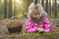 Autumn forest Royalty Free Stock Photo