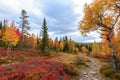 Autumn Forest in Lulea, Sweden Royalty Free Stock Photo