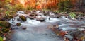 Autumn forest, mountain stream. Beautiful , rocks covered with moss. river rapids and waterfalls. Carpathian.