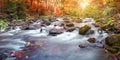 Autumn forest, mountain stream. Beautiful , rocks covered with moss. river rapids and waterfalls. Carpathian.