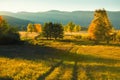 Autumn forest in the mountains at sunset. Yellow and green trees in the evening sunlight Royalty Free Stock Photo