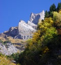 Autumn forest and mountainside Royalty Free Stock Photo