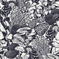 Autumn forest mushroom set and seamless pattern