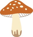 Autumn Forest Mushroom