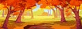 Autumn forest, nature landscape, fall orange park Royalty Free Stock Photo