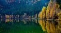 Autumn forest near the lake with reflections of trees in the water Royalty Free Stock Photo