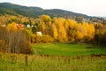 Autumn forest over grassland in Telemark, Norway Royalty Free Stock Photo