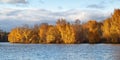 Autumn forest over Moscow river