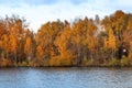 Autumn forest over Moscow river