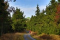 Autumn, Forest, Panorama, OrlickÃÂ© Mountains, Czech Republic