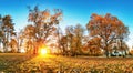 Autumn forest panorama in park Royalty Free Stock Photo