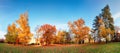 Autumn forest panorama in park Royalty Free Stock Photo