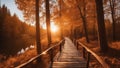 autumn in the forest panoramic autumn landscape wooden path fall nature background Royalty Free Stock Photo