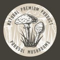 Autumn forest parasol mushroom picking, vegan menu