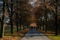 Autumn forest park tunnel trail view, alley near romantic chateau, in the middle is the path, lined with trees, family walking,