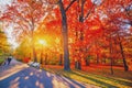 Autumn forest path. Orange color tree, red brown maple leaves in fall city park. Nature scene in sunset fog Wood bench i Royalty Free Stock Photo