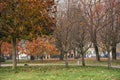 Autumn forest path. Orange color tree, red brown maple leaves in fall city park Royalty Free Stock Photo