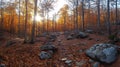 Autumn forest path, sunlit rocks, leaves, hiking Royalty Free Stock Photo