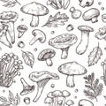 Autumn forest pattern. Sketch mushrooms, forest food berries leaves background. Decorative vintage botanical harvest