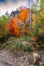 Autumn forest in the province of Quebec Royalty Free Stock Photo