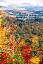 Autumn forest in the province of Quebec Royalty Free Stock Photo