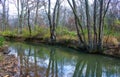 Autumn forest in a public park, old trees growing along a small river falling into the water, NJ Royalty Free Stock Photo