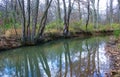 Autumn forest in a public park, old trees growing along a small river falling into the water, NJ Royalty Free Stock Photo