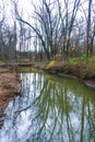 Autumn forest in a public park, old trees growing along a small river falling into the water, NJ Royalty Free Stock Photo