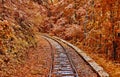 Autumn Forest Railroad Royalty Free Stock Photo