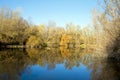 Autumn forest reflected in the calm waters of a lake makes a mirror effect Royalty Free Stock Photo