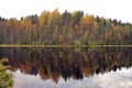 Autumn forest reflected on the mirror surface of Lake water Royalty Free Stock Photo