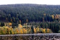 Autumn forest reflected in the surface of the lake Titisee, Germany Royalty Free Stock Photo