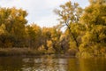 Autumn forest on the river. Autumn colors in sunny day on lake in city park. Royalty Free Stock Photo