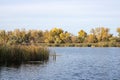 Autumn forest on the river. Autumn colors in sunny day on lake in city park. Royalty Free Stock Photo