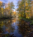 Autumn on the forest river