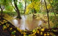 Autumn forest river creek landscape. River creek in autumn park. Autumn park river creek Royalty Free Stock Photo