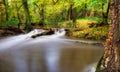 Autumn forest river creek landscape. River creek in autumn park. Autumn park river creek Royalty Free Stock Photo