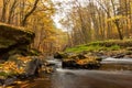 Autumn forest river creek view. Creek in autumn forest sunset. Autumn water in forest.