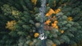 Autumn forest river landscape. River flowing in the mystic dark forest