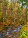 Autumn forest with river