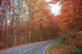 Autumn forest road Royalty Free Stock Photo