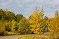 Autumn forest road with colorful yellow and orange trees against a clear sky on a Sunny day. Colorful landscape of Russian nature Royalty Free Stock Photo