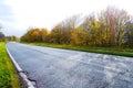 Autumn forest road landscape. Trees in fall season nature with an asphalt path. Royalty Free Stock Photo