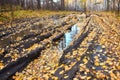 Autumn forest road with mud and fallen yellow leaves, which is impossible to drive and pass Royalty Free Stock Photo
