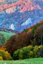 Autumn forest with rock in the background. Colorful trees. Mountain landscape at sunset. Royalty Free Stock Photo