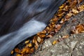 Autumn forest rocks creek