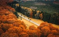 Autumn forest in Romania. Scenic road near Saint Anna Lake, Transylvania. Car on the road