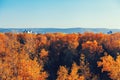 Autumn forest and the roofs of houses behind it Royalty Free Stock Photo